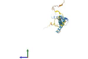 Protein Structure (PS) image for DnaJ (Hsp40) Homolog, Subfamily C, Member 5 beta (DNAJC5B) (AA 1-199) protein (His tag) (ABIN7560521)