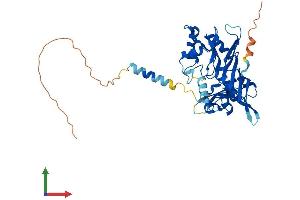 Protein Structure (PS) image for RNA Pseudouridylate Synthase Domain Containing 4 (RPUSD4) (AA 1-377) protein (His tag) (ABIN7560693)