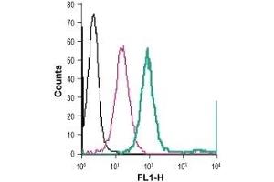 Cell surface detection of NK1R in live intact human THP-1 monocytic leukemia cells: (black line) Cells. (TACR1 Antikörper  (2nd Extracellular Loop) (FITC))