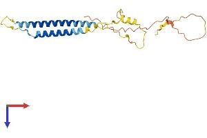 NRSN2 Protein (AA 1-204) (His tag)