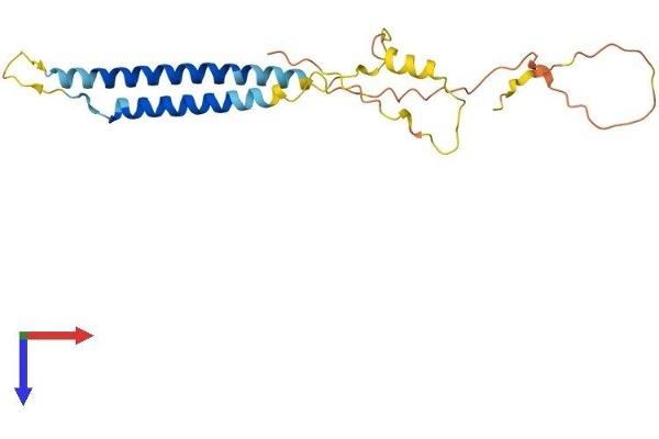 NRSN2 Protein (AA 1-204) (His tag)