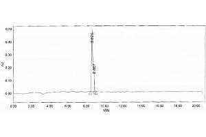 Image no. 2 for Calreticulin (CALR) peptide (Ovalbumin) (ABIN5666115) (Calreticulin (CALR) peptide (Ovalbumin))