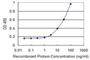 Detection limit for recombinant GST tagged CLP1 is 1 ng/ml as a capture antibody. (CLP1 Antikörper  (AA 316-425))