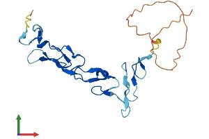 AlphaFold protein structure predicition of Human Recombinant EGFEM1P Protein, UniprotID Q0D2K5