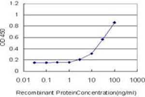 Detection limit for recombinant GST tagged CD300C is approximately 3ng/ml as a capture antibody. (CD300c Antikörper  (AA 21-130))