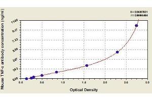 Typical standard curve (Anti-TNF-alpha Autoantibody ELISA Kit)