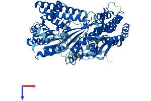 DHX58 Protein (AA 1-678) (His tag)