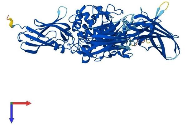 TGM4 Protein (AA 1-670) (His tag)