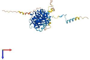 MAPKAP Kinase 3 Protein (AA 1-382) (His tag)