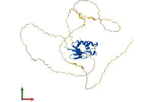 Protein Structure (PS) image for Interferon Regulatory Factor 2 (IRF2) (AA 1-349) protein (His tag) (ABIN7548539)