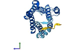 Protein Structure (PS) image for KDEL (Lys-Asp-Glu-Leu) Endoplasmic Reticulum Protein Retention Receptor 3 (kDELR3) (AA 1-214) protein (His tag) (ABIN7547394)