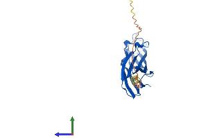 Protein Structure (PS) image for ASF1 Anti-Silencing Function 1 Homolog A (S. Cerevisiae) (ASF1A) (AA 1-204) protein (His tag) (ABIN7560536)