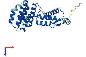 GID8/C20orf11 Protein (AA 1-228) (His tag)