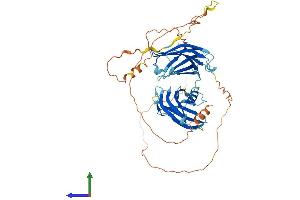 AlphaFold protein structure predicition of Human Recombinant TC2N Protein, UniprotID Q8N9U0