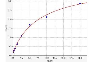 NPY5R ELISA Kit