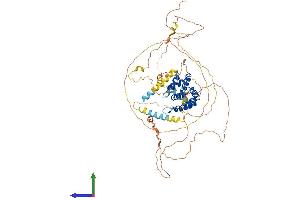 AlphaFold protein structure predicition of Mouse Recombinant Clint1 Protein, UniprotID Q99KN9