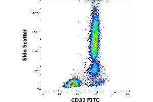Flow cytometry surface staining pattern of human peripheral whole blood stained using anti-human CD32 (3D3) FITC antibody (4 μL reagent / 100 μL of peripheral whole blood). (Fc gamma RII (CD32) Antikörper (FITC))