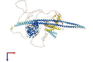 TAO Kinase 2 Protein (TAOK2) (AA 1-1235) (His tag)