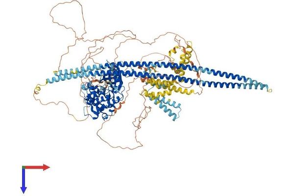 TAO Kinase 2 Protein (TAOK2) (AA 1-1235) (His tag)