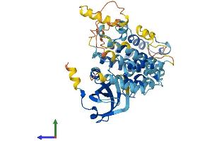 Protein Structure (PS) image for Mitogen-Activated Protein Kinase-Activated Protein Kinase 5 (MAPKAPK5) (AA 1-473) protein (His tag) (ABIN7554465)