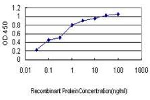 Detection limit for recombinant GST tagged CDSN is approximately 0. (Corneodesmosin Antikörper  (AA 306-355))