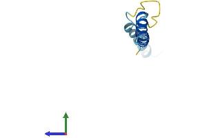 AlphaFold protein structure predicition of Mouse Recombinant Serp2 Protein, UniprotID Q6TAW2 (SERP2 Protein (AA 1-65) (Fc Tag))