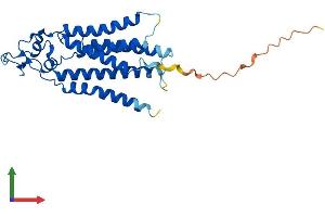 Protein Structure (PS) image for Phosphatidic Acid Phosphatase Type 2C (PPAP2C) (AA 1-276) protein (His tag) (ABIN7561247)