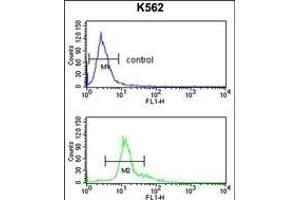 Flow Cytometry (FACS) image for anti-serpin Peptidase Inhibitor, Clade F (Alpha-2 Antiplasmin, Pigment Epithelium Derived Factor), Member 1 (SERPINF1) (AA 279-306) antibody (ABIN391483)