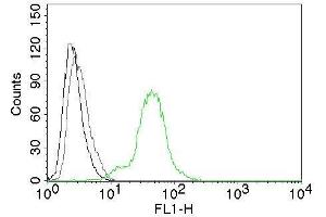 Flow Cytometry of human ER beta on BT474 cells.