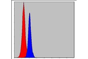 Flow cytometric analysis of MCF-7 cells using CEBPB mouse mAb (blue) and negative control (red). (CEBPB Antikörper)