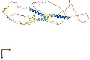 IER5 Protein (AA 1-308) (His tag)