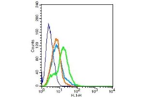 RSC96 cells probed with NMUR1/GPR66 Polyclonal Antibody, Unconjugated  at 1:100 for 30 minutes followed by incubation with a conjugated secondary -FITC) (green) for 30 minutes compared to control cells (blue), secondary only (light blue) and isotype control (orange).