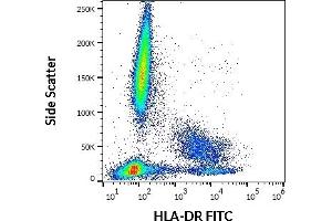 Flow cytometry surface staining pattern of human peripheral whole blood stained using anti-human HLA-DR (MEM-12) FITC antibody (20 μL reagent / 100 μL of peripheral whole blood). (HLA-DR Antikörper  (FITC))