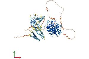 Protein Structure (PS) image for Protein Kinase N3 (PKN3) (AA 1-889) protein (His tag) (ABIN7550801)
