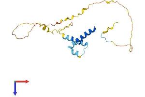 HES3 Protein (AA 1-186) (His tag)