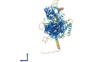 AlphaFold protein structure predicition of Mouse Recombinant Atp11c Protein, UniprotID Q9QZW0