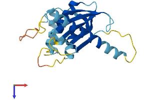 Adaptor-Related Protein Complex 5, sigma 1 Subunit (AP5S1) (AA 1-200) protein (His tag)