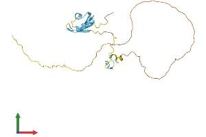 Protein Structure (PS) image for Splicing Factor, Arginine/Serine Rich 7 (SFRS7) (AA 1-238) protein (His tag) (ABIN7546317)