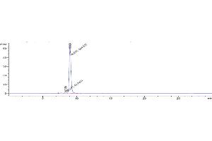The purity of Anti-IL-3Ra / CD123 Reference Antibody (SGN-CD123A) is 95. (Rekombinanter IL3RA Antikörper)
