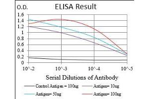 Black line: Control Antigen (100 ng), Purple line: Antigen(10 ng), Blue line: Antigen (50 ng), Red line: Antigen (100 ng), (MSTN Antikörper  (AA 24-266))