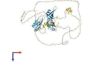 MYEF2 Protein (AA 1-591) (His tag)