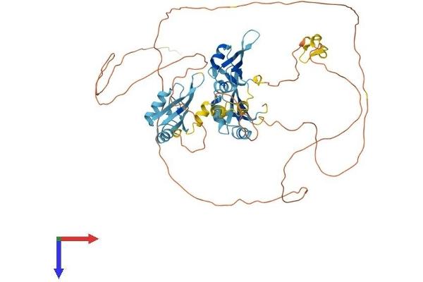 MYEF2 Protein (AA 1-591) (His tag)