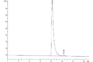 The purity of Mouse IGSF11 is greater than 95 % as determined by SEC-HPLC.