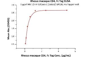 Immobilized HIV-1 [HIV-1/Clade C (16055)] GP120, His Tag (4) at 10 μg/mL (100 μL/well) can bind Rhesus macaque CD4, Fc Tag (ABIN2180785,ABIN2180784) with a linear range of 0. (CD4 Protein (CD4) (AA 26-390) (Fc Tag))