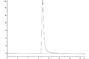 Size-exclusion chromatography-High Pressure Liquid Chromatography (SEC-HPLC) image for CD200 Receptor 1 (CD200R1) (AA 27-266) protein (His-Avi Tag,Biotin) (ABIN7274118)