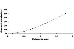 Typical Standard Curve