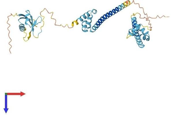DFFA Protein (AA 1-331) (His tag)