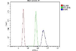 Flow Cytometry analysis of RAW264. (RNF8 Antikörper  (AA 3-488))