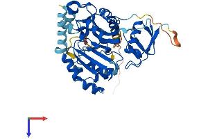 AS3MT Protein (AA 1-375) (His tag)