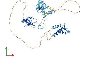 Protein Structure (PS) image for Ly1 Antibody Reactive (LYAR) (AA 1-388) protein (His tag) (ABIN7556920)